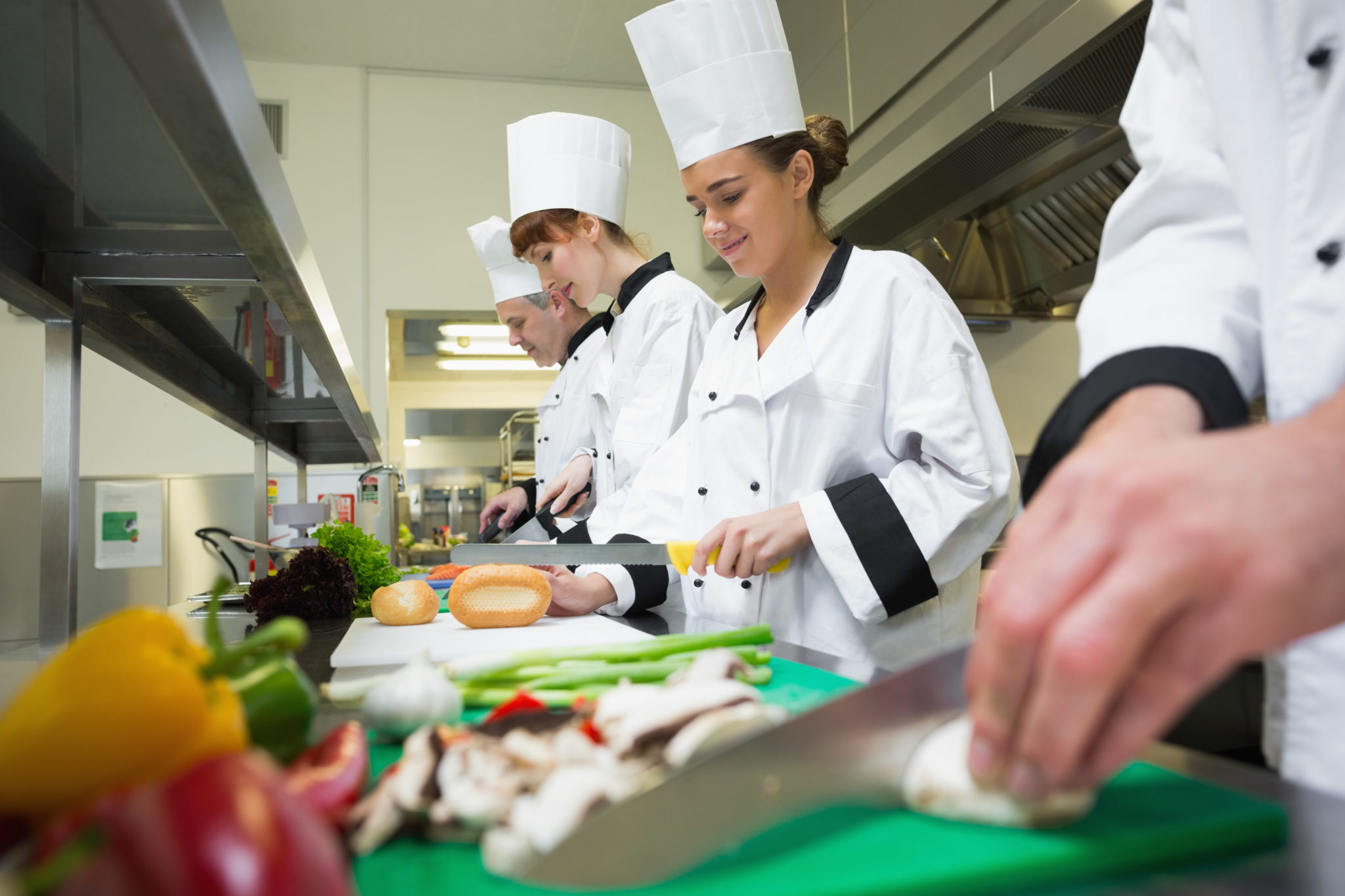 pelatihan food handler