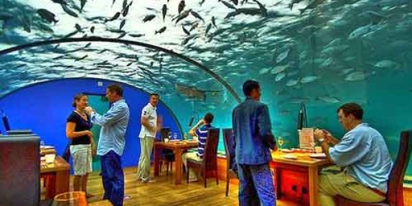 Peluang Usaha Restoran atau Rumah Makan Unik yang Menguntungkan