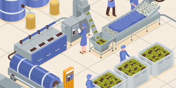 Membongkar Perkembangan Terkini dalam Industri Food Production