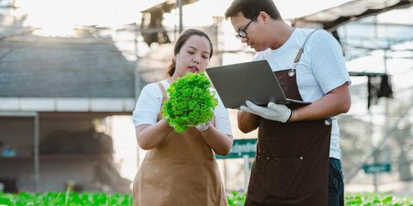 Strategi Mempertahankan Kualitas Produk dalam Bisnis Pangan